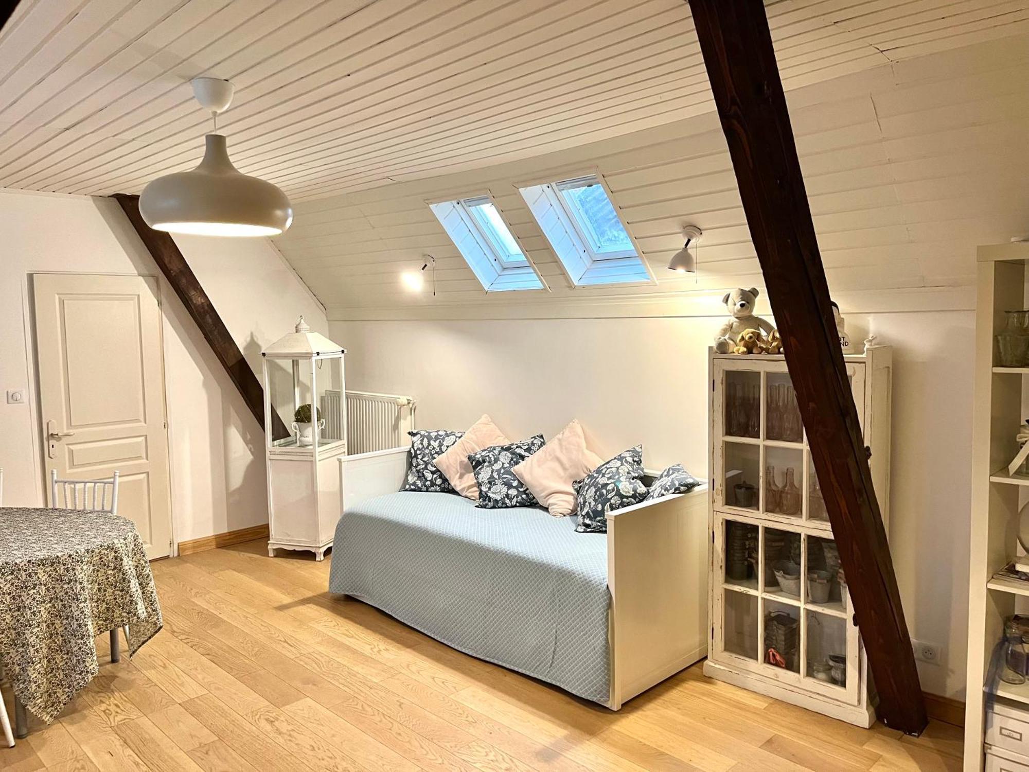 Etage Entier Prive, 45M2 Chez Regine Villa Schiltigheim Eksteriør billede