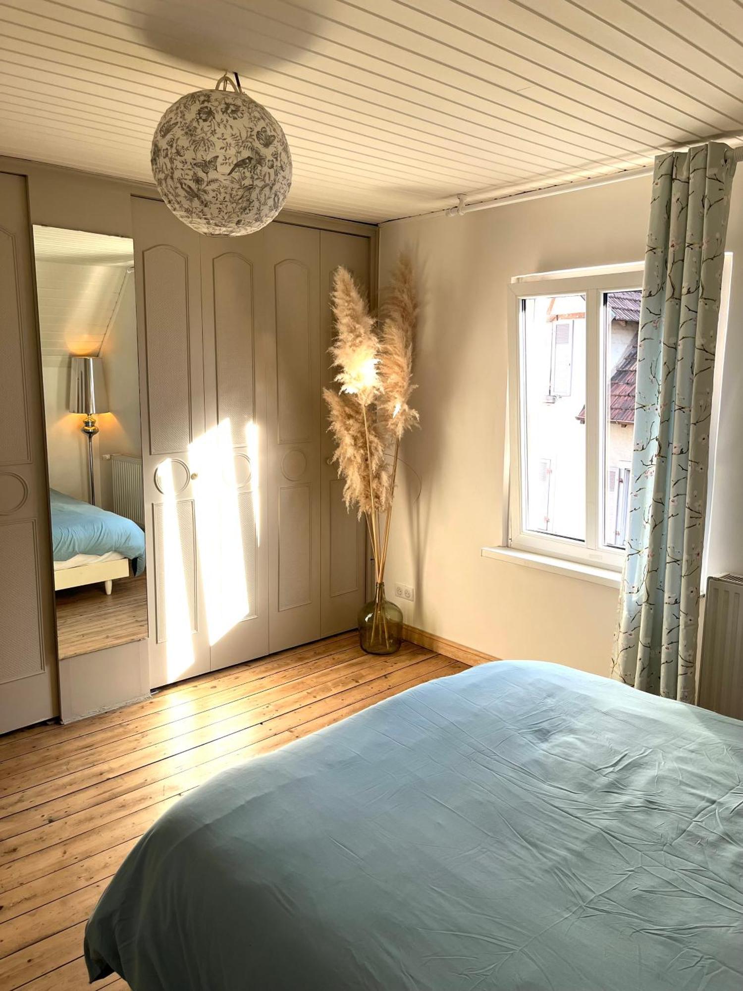 Etage Entier Prive, 45M2 Chez Regine Villa Schiltigheim Eksteriør billede